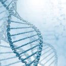 아이큐어(주) 이미지