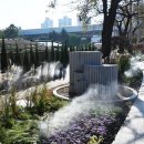 부산진구-1 이미지