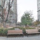 금잔디 어린이공원 이미지