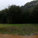 옥룡사지 이미지