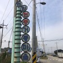 연곡리 농장 | 천안 샤인머스켓 농장 구매 / 성환 영월식당 점심 닭볶음탕 맛있어