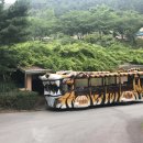 오월드1 이미지