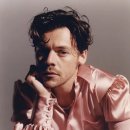 느낌it개 이미지