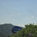 대가야역사테마관광지 | 고령 데이트 💛 <국가유산 방문코스> 고령 지산동 고분군 / 대가야 박물관 / 대가야역사테마관광지