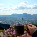 송화강식당 이미지