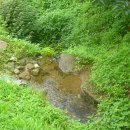 섬지뜰농장 이미지