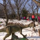 금호새마을문고 이미지