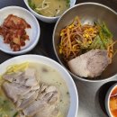 서울태평로우체국 | 2025 겨울 제주도 여행 (제주도 캣월드 최고 @@@)