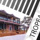 몽산포 펜션 이미지