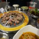 장수갈매기 이미지
