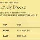 라라호텔 | 센스있는 집들이 선물 추천, 향수 같은 라라센트 호텔 핸드워시 사용 후기 (향대박!!)