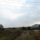 세림부동산공인중개사사무소 이미지