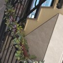 GS25 광주각화점 | 광주 상무지구 쌍촌동 비비에스테틱 트로이필 1:1맞춤관리 후기