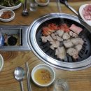 해안생돼지