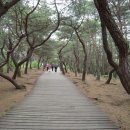 진주 유등축제 및 경주 남산 산행 공지 이미지