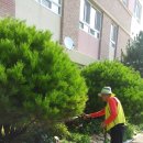 신진자원 이미지