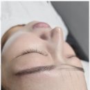제제브로우