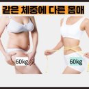 포레스트 다이어트 이미지