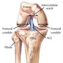 겨울스포츠 부상으로 인한 무릎통증 방심하면 관절엔 위험 이미지