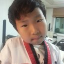 동네묭실 - 평택시 | 동네묭실
