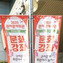 캘리그라피(관저문예회관) 네이버블로그