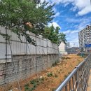 오동동170 이미지