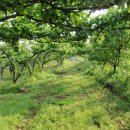 방축3리마을회관 이미지