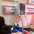 세종한의원 | [세종시 한의원] 속불편함 치료후기