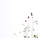유니크 셀렉션(Unique Selection)
