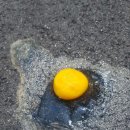 &#39;불타는 공항 활주로&#39; 68도까지..&#34;쓰러진 직원만 3명째&#34;... 이미지