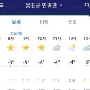 2022년 12월1일(목) 백령, 연평항로 정상운항 이미지