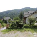 안개자니펜션 이미지