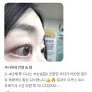 샤니래쉬 | 주안속눈썹펌 유지력 최고 블랙틴팅펌+ 후기
