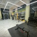 동기부여짐 이미지