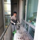 오라클빌딩 이미지