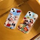 도그 앤 캣츠 이미지