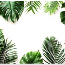 이강한방병원 이미지