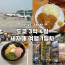 도쿄앤이탈리아돈가스 | [2025 도쿄] 도쿄 3박 4일 세자매 여행 1일차 ::: 아시아나, 돈까스 야마베, 아부리소바 긴자구미...