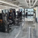 윌 휘트니스 이미지