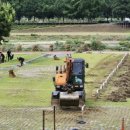 아산곡교천야영장 이미지