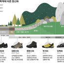 트리코니 등산화 네이버블로그