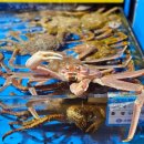 드루와농장 이미지