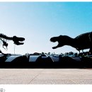 쪽빛나라 이미지