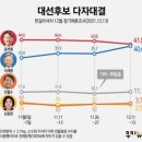 쿠키뉴스 여론조사 이미지