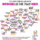 제주와투어 티스토리