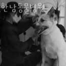 더벳한남동물병원 이미지