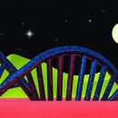 모두의 AI(인공지능) 피지컬 컴퓨팅 이미지