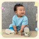 이가자헤어비스용인점 | 이가자헤어비스 수지점 돌아기 첫 미용실 방문 후기, 준비사항 팁