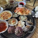 조개몽땅 이미지