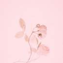 디바네일샵